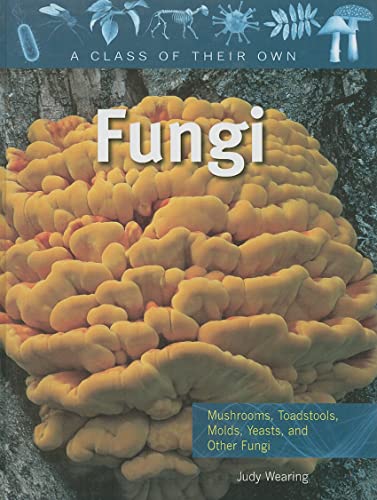Stock image for Fungi: Mushrooms, Toadstools, Molds, Yeasts, and Other Fungi for sale by ThriftBooks-Atlanta