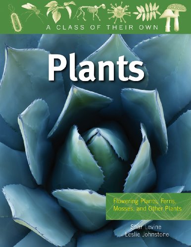 Plants: Flowering Plants, Ferns, Mosses, and Other Plants (Class of Their Own (Library)) (9780778753766) by Levine, Shar; Johnstone, Leslie