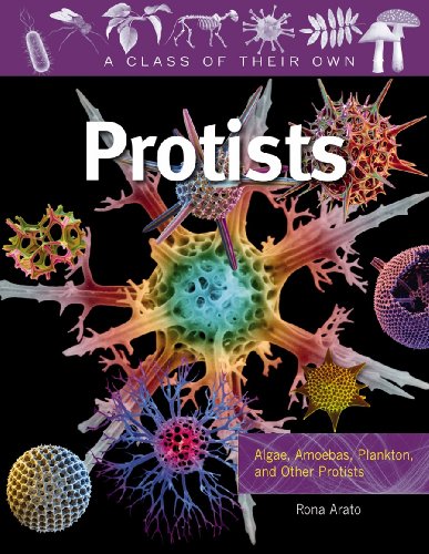 Stock image for Protists for sale by Better World Books