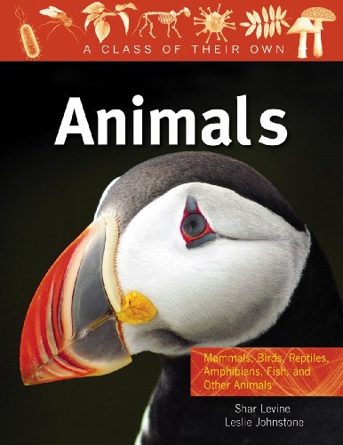 Animals: Mammals, Birds, Reptiles, Amphibians, Fish and Other Animals (Class of Their Own) (9780778753865) by Levine, Shar
