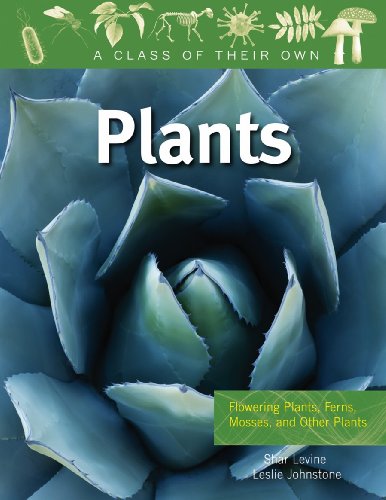 Plants: Flowering Plants, Ferns, Mosses, and Other Plants (Class of Their Own) (9780778753902) by Levine, Shar