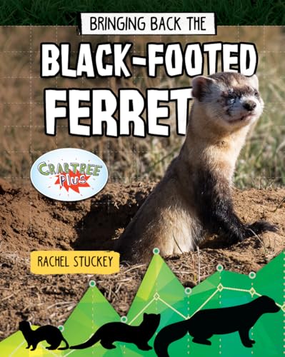 Beispielbild fr Bringing Back the BlackFooted Ferret Animals Back from the Brink zum Verkauf von PBShop.store US