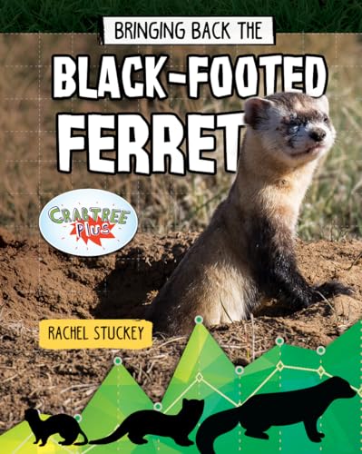 9780778763246: Bringing Back the Black-Footed Ferret
