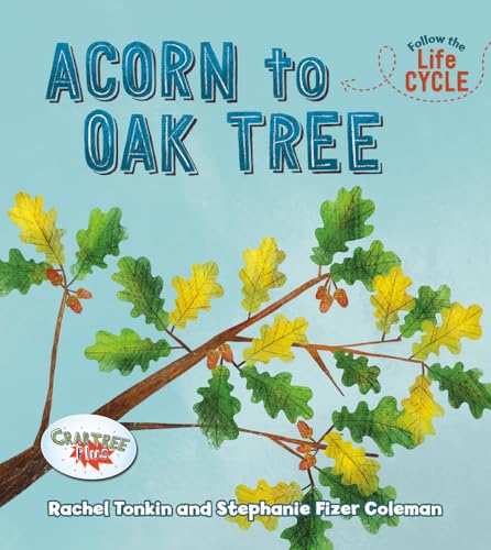 Imagen de archivo de Acorn to Oak Tree (Follow the Life Cycle) a la venta por Housing Works Online Bookstore