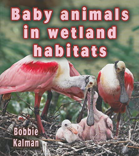 Beispielbild fr Baby Animals in Wetland Habitats zum Verkauf von Better World Books