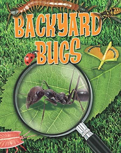 9780778778639: Backyard Bugs (Crabtree Connections Level 1: Below Level)