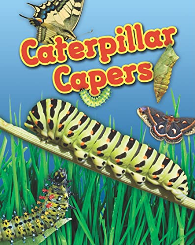 Beispielbild fr Caterpillar Capers zum Verkauf von Better World Books