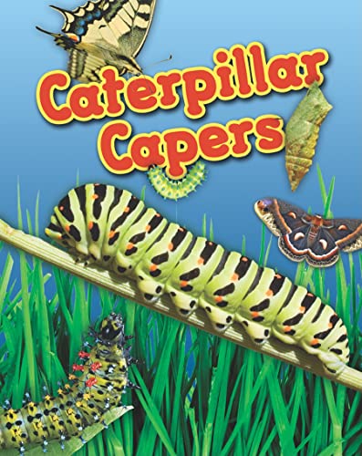 Caterpillar Capers - Louise A Louise A