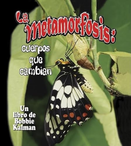 9780778783879: La Metamorfosis: Cuerpos Que Cambian (Metamorphosis: Changing Bodies) (Cambios Que Suceden en la Naturaleza (Nature's Changes)) (Spanish Edition)
