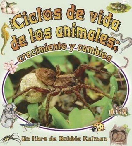 Stock image for Ciclos De Vida De Los Animales/the Animal's Life Cycle: Crecimiento Y Cambios (6) (Cambios Que Suceden En La Naturaleza / Nature's Changes, 6) (Spanish Edition) for sale by HPB-Red
