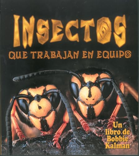 Imagen de archivo de Insectos Que Trabajan en Equipo a la venta por Better World Books