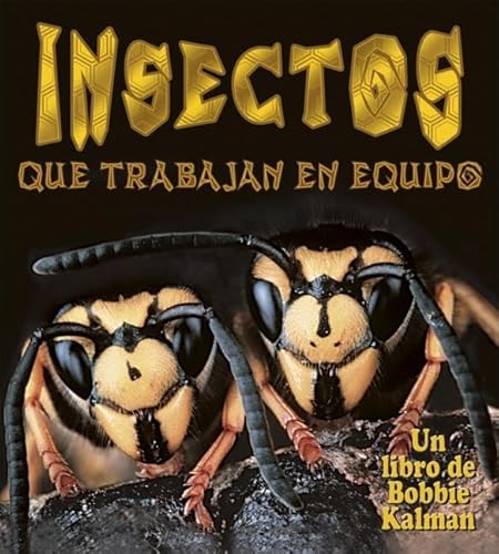 Insectos Que Trabajan En Equipo (Insects That Work Together) (El Mundo de los Insectos (The World Of Insects)) (Spanish Edition) (9780778785149) by Aloian, Molly