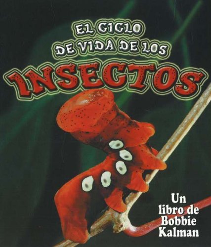 Beispielbild fr El Ciclo de Vida de los Insectos zum Verkauf von Better World Books