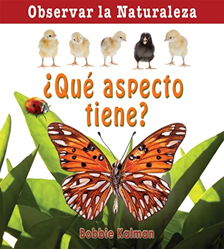 Â¿QuÃ© Aspecto Tiene? (How Does It Look?) (Observar La Naturaleza (Looking at Nature)) (Spanish Edition) (9780778787327) by Kalman, Bobbie