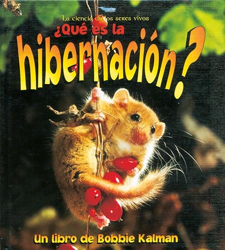 Stock image for ¿Qu Es La Hibernaci n? (What Is Hibernation?) for sale by ThriftBooks-Dallas