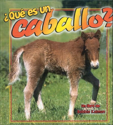 9780778787662: Que Es Un Caballo?/ What Is a Horse