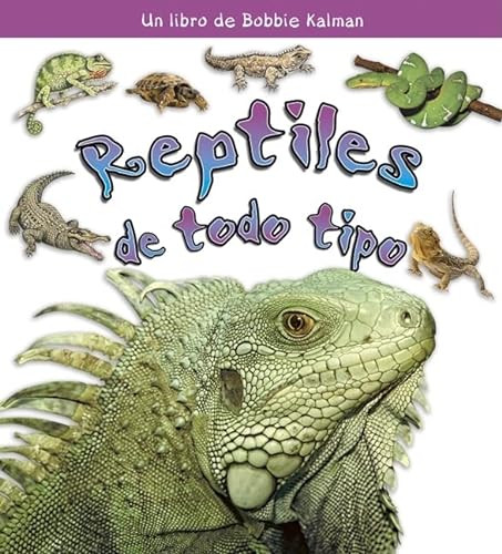9780778788355: Reptiles de Todo Tipo (Reptiles of All Kinds): 4 (Que Tipo De Animal Es? / What Kind of Animal Is It?)