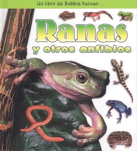 Ranas Y Otros Anfibios (Frogs and Other Amphibians) (Bobbie Kalman Books (Hardcover)) (Spanish Edition) (9780778788379) by Kalman, Bobbie