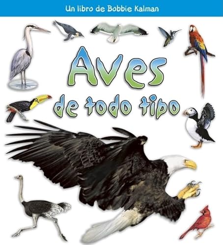 Aves de Todo Tipo (Birds of All Kinds) - Rebecca Sjonger