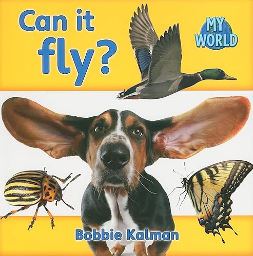 Stock image for Can It Fly? for sale by Better World Books