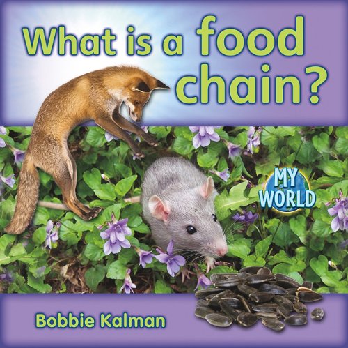 Beispielbild fr What Is a Food Chain (My World: Reading Level H) zum Verkauf von dsmbooks
