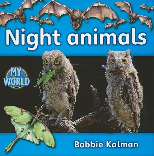 9780778795834: Night Animals (My World: Reading Level E)