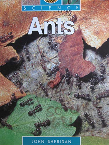 Imagen de archivo de Ants: Sunshine Books-Science a la venta por Alf Books