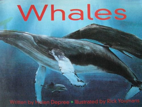 Beispielbild fr Whales (Foundations) zum Verkauf von -OnTimeBooks-