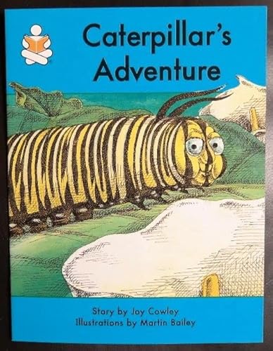 9780780273207: Caterpillar's adventure (The story box)