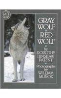 Gray Wolf Red Wolf (9780780740075) by William Munoz Dorothy Hinshaw Patent