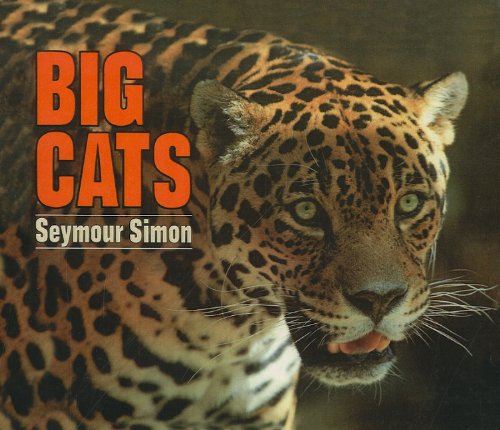 9780780742819: Big Cats