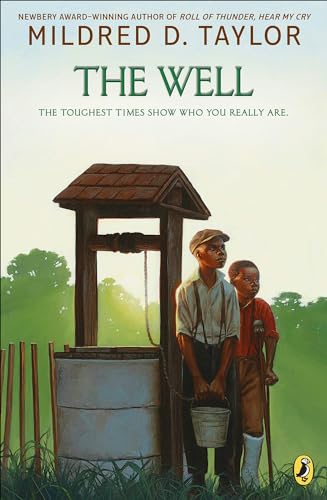 9780780787230: The Well: David's Story