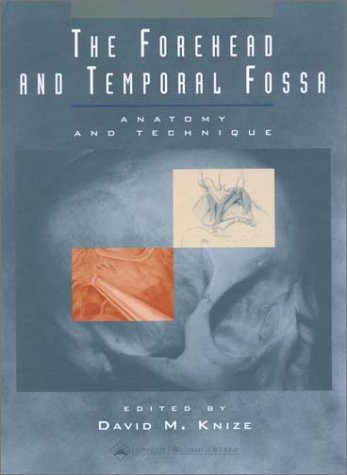 the forehead and temporal fossa