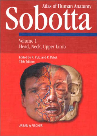 Beispielbild fr Sobotta Atlas of Human Anatomy, Vol.1 : Head, Neck, Upper Limbs: 1 (Gebundene Ausgabe) von Johannes Sobotta (Autor), Reinhard Putz (Autor), Reinhard Pabst zum Verkauf von BUCHSERVICE / ANTIQUARIAT Lars Lutzer