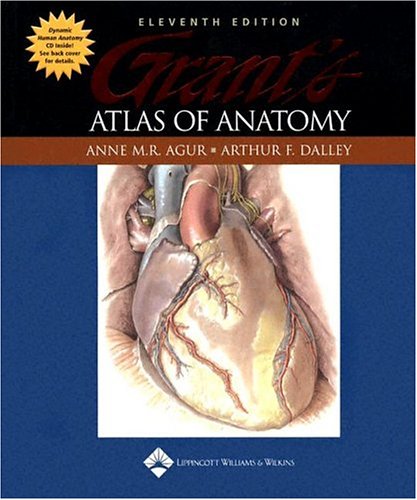 Stock image for Grant's Atlas of Anatomy (GRANT, JOHN CHARLES BOILEAU//GRANT'S ATLAS OF ANATOMY) for sale by Phatpocket Limited