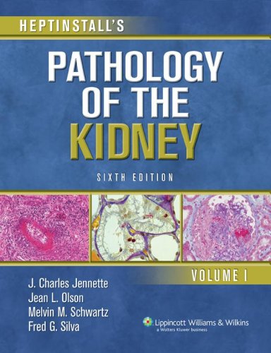 Stock image for Heptinstall's Pathology of the Kidney (2 Volume Set) for sale by HPB-Red