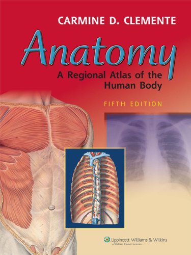 Imagen de archivo de Anatomy: A Regional Atlas Of The Human Body a la venta por Jenson Books Inc