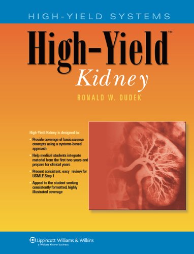 Stock image for High-Yield  Kidney (High-Yield Systems Series) for sale by HPB-Red