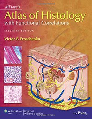 Stock image for diFiore's Atlas of Histology with Functional Correlations (Point (Lippincott Williams & Wilkins)) for sale by HPB-Diamond