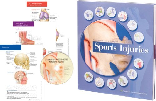 Anatomical Visual Guide to Sports Injuries (9780781773614) by Ochoa, Lesley Weeks; Hutchinson, Mark R., M.D.