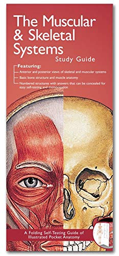 Beispielbild fr Anatomical Chart Company's Illustrated Pocket Anatomy: The Muscular & Skeletal Systems Study Guide zum Verkauf von Wonder Book