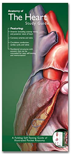 Beispielbild fr Anatomy of the Heart Study Guide Anatomical Chart Company's Illustrated Pocket Anatomy zum Verkauf von PBShop.store US