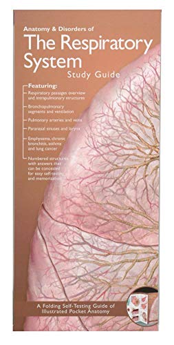 9780781776868: Anatomical Chart Company's Illustrated Pocket Anatomy: Anatomy & Disorders of The Respiratory System Study Guide