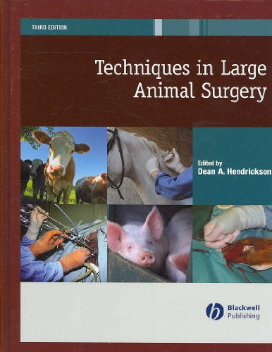 9780781782555: Techniques in Large Animal Surgery