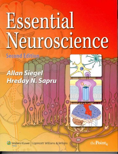 Stock image for Essential Neuroscience for sale by Better World Books