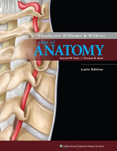 Stock image for Lippincott Williams & Wilkins Atlas of Anatomy for sale by Anybook.com
