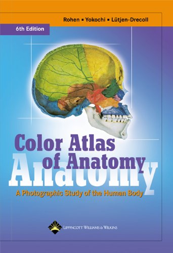 Imagen de archivo de Color Atlas of Anatomy: A Photographic Study of the Human Body a la venta por Jenson Books Inc