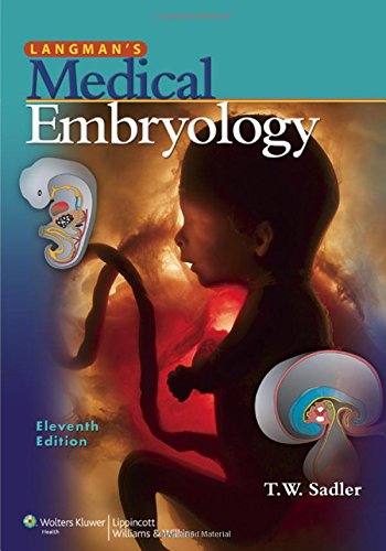 9780781790697: Langman's Medical Embryology