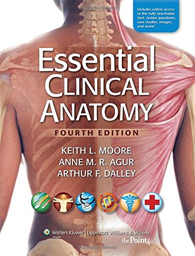 Imagen de archivo de Essential Clinical Anatomy, 4th Edition a la venta por Gulf Coast Books