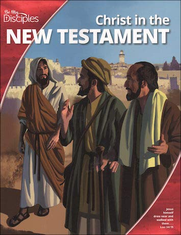 Imagen de archivo de Christ in the New Testament a la venta por ZBK Books